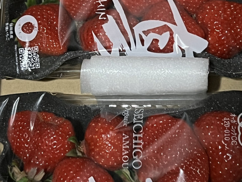 【訳あり】有機JASあまおう　アウトレット280gパック（※8パックまで送料同じ）