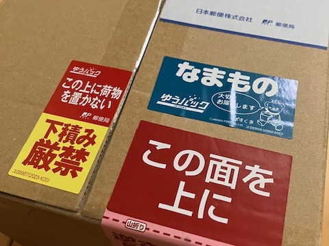 【 絶対お得✨農家オススメ 大玉多め🍎訳あり・サンふじ】  7㎏ (中～大玉18個)