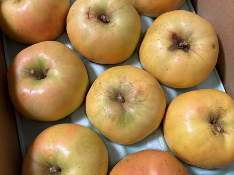 【訳あり】驚いた(*[]*)ﾅｯ!!ムーンルージュ 約3kg 家庭用