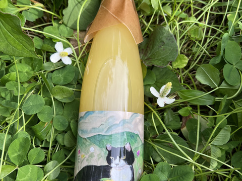 【限定品】お得な飲み比べセット！ねこ農園柑橘ジュースアソート3本セット