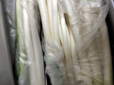 【破格のお値段！業務用向け】寒さで甘味を蓄えた新鮮長ネギ（お徳用５kg・約３０〜４０本入り）