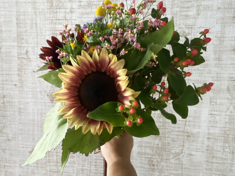 クール便、人気あり【もりもりお任せブーケ、20本／その3】プレゼントOK!花農家から直送！何が入るかはお任せですが、その日の一番きれいをお届けします。