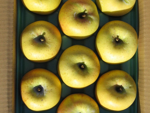 【予約販売・数量限定】長野県産りんご３㎏（シナノゴールド）（１０月発送）甘みと酸味