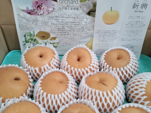 【訳あり】果汁たっぷり!新興梨 約5kg【自然貯蔵】
