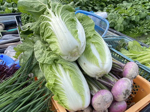 カラダが喜ぶ!!旬のお野菜セット7~8種類【おまかせ60】