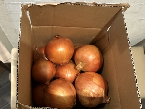 【淡路島産玉ねぎの王様】玉ねぎの王様　ターザン（3キロ）