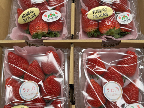 三重県オリジナルいちご【うた乃】1箱1kg~1.2kg4パック入
