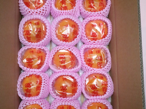冷蔵柿（富有柿）15個入り×２箱　Lサイズ 　福岡県久留米市田主丸町産