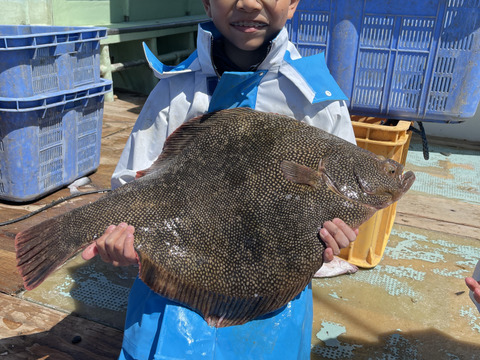 高級魚マツカワ 苫小牧産 1キロ以上 北海道産 食べチョク 農家 漁師の産直ネット通販 旬の食材を生産者直送 高級魚マツカワ 苫小牧産 1キロ以上 北海道産 食べチョク 農家 漁師の産直ネット通販 旬の食材を生産者直送