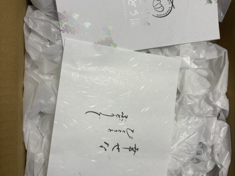 【福袋2025】豪華！ぶどう4品種＋粒カップアソート入り