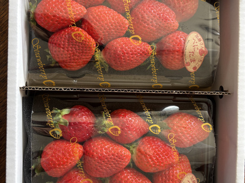 べにたま 250g×2パック  訳あり