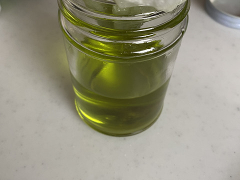 【メール便】愛知県東三河産　全草乾燥よもぎ20g×2