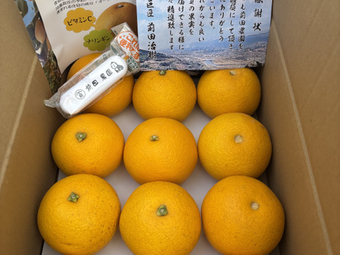 【特別栽培】和歌山県産【極ウマ】　八朔(8個～10個入り)