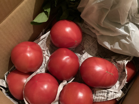 毎食トマト！栄ちゃんトマト　　Ｂ級品　大きなサイズ
６キロ入り。