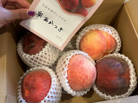 8月運命の出会い⁉️【67品種の桃を栽培】品種は何が届くかお楽しみ！白桃1.5㎏