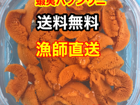（実質送料無料）蝦夷バフンウニ（北海道利尻島産）5パック 350g