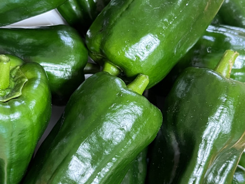 『淡路島五色産さららピーマン約1ｋｇ』ビタミンたっぷり！肉厚、美味！採りたて発送