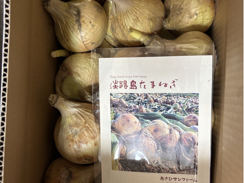 【訳あり10kg】淡路島産新たまねぎ 兵庫県認証食品 ひょうご安心ブランド