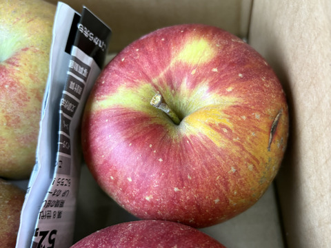 大訳あり シナノスイート5キロ箱 長野県産