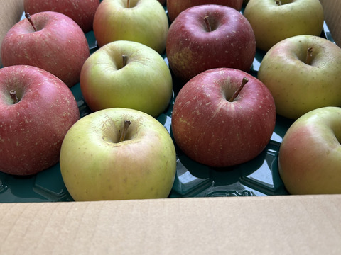 赤と黄色‼︎ 青森県産 サンふじ&名月(訳あり)約5kg サンふじ8個名月8個　計16個