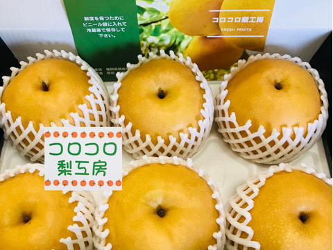 糖度ピークです‼️【大きさにも美味しさにもびっくり‼️】PREMIUM新高(5~6個)約3.5kg✨️コロコロ梨工房の自信作✨️樹上完熟、甘くてとってもフルーティー ✨️鮮度を保つ為クール便で発送🚚