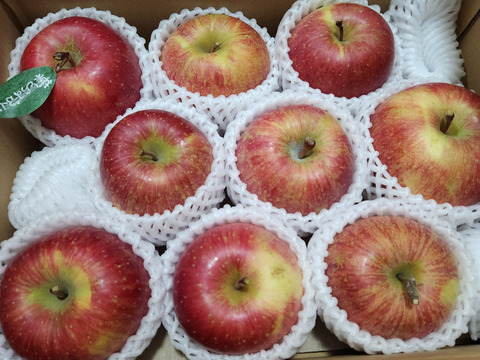 【冬ギフト】 🍎レビュー数1700件突破！！《家庭用》青森完熟葉とらずふじ８〜１２玉(約３kg)🍎ID119812