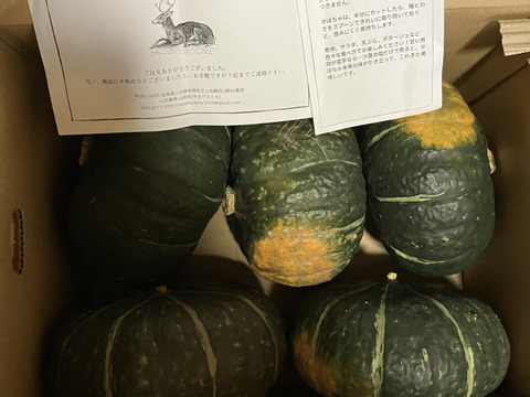 【北海道十勝産】ホクホクかぼちゃ大きめサイズ5~6玉（10kg以上）