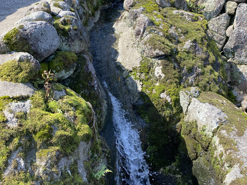 まほろば浪漫🌾ヒノヒカリ (精米5㎏)令和6年