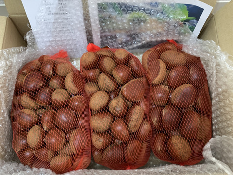 【福袋】【完熟熟成栗】超お得価格！熟成蔵出し特別セット『 Ｌ / 2L / 3L 』1㎏×3袋(計3kg)【限定６０個】