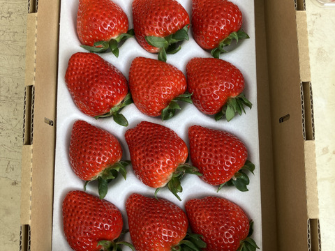 埼玉県産いちご　あまりん