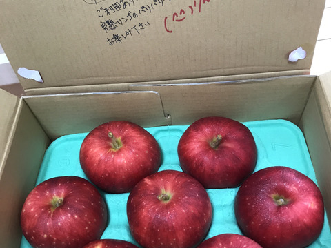 【希少種】【紅ロマン】（2kg・9〜10個入り）パリパリ・ジューシー贈答レベル家庭用