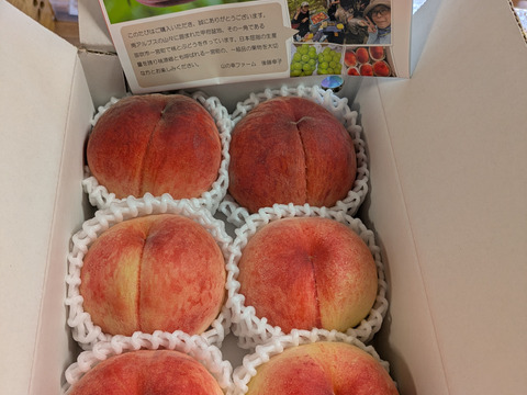 【すぐ発送！🍑山梨白桃】約２キロ！特大～大サイズ５～７個！一度食べたら忘れられない  その時期一番おいしい品種をお届け【品種おまかせ】