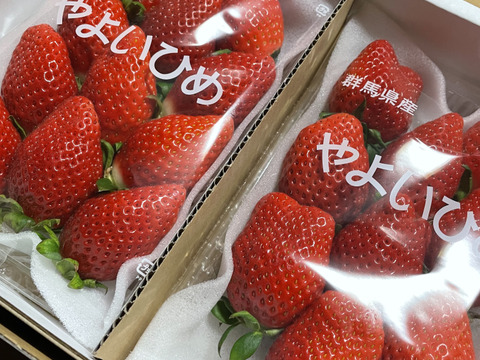 果汁たっぷり❗やよいひめ『群馬いちご』320g×4トレー（2箱）
