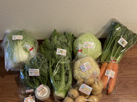 《味に自信あり》豆乳で育った特別栽培　旬の野菜セット（中）＋おまけ【翌日発送 毎日便 対応】