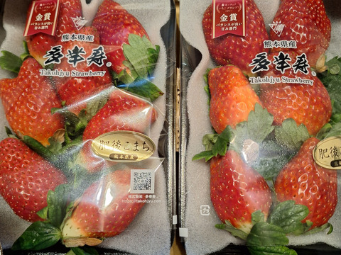 🥇いちごグランプリ2025金賞受賞！超希少品種！『肥後こまち』ご家庭用パック 250g×2p