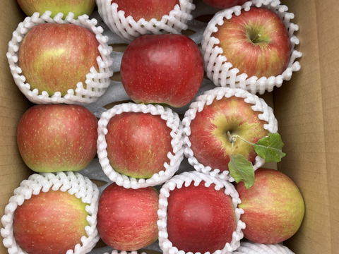 【クール便】紅玉❗️秋映詰合せ❗️3kg箱  信州りんご