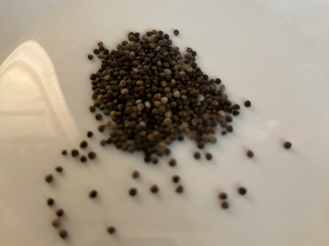 エゴマの実　群馬県東吾妻町産　100g