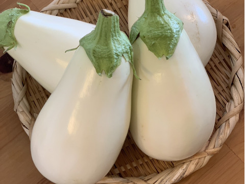 【人気沸騰中！】とろーり旨ナス　１ｋｇ（４個）