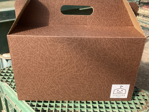 2種類の味わい！メロン レノン・ムーンライト 2玉化粧箱入り 1玉1.7kg以上