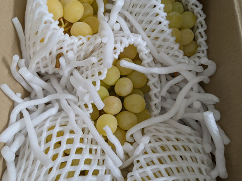 【規格外】高糖度！山梨県産シャインマスカット　小房　1kg（3～5房）