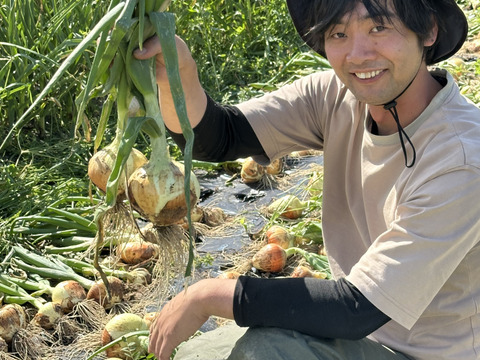 トロッと玉ねぎ&赤玉ねぎ3個セット【農薬化学肥料不使用】10キロ30個以上