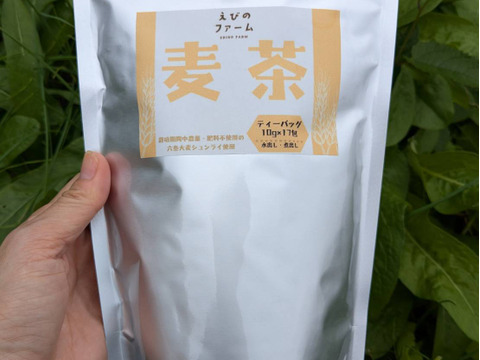 【栽培期間中農薬・化学肥料不使用  六条大麦使用！】土を育てる麦茶2袋セット　（10g×17包×2袋）水出し・煮出し対応　ノンカフェイン