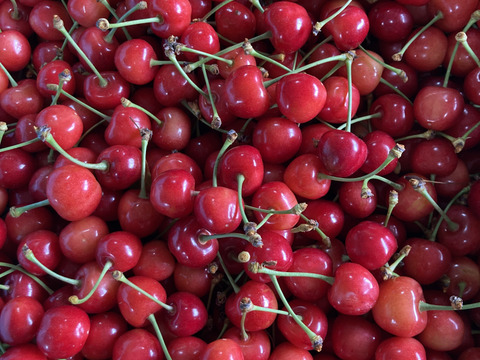 🍒さくらんぼ佐藤錦🍒秀品Lサイズ　1キロ　バラ詰め