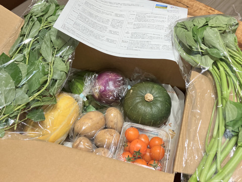 ＼シャキうま！／南房総の旬野菜セット！セレクトおまかせ【8品目】