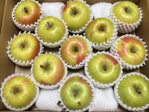 【販売開始！】青森県産りんご「ぐんま名月」家庭用 キズ有 約5kg 【光センサー選果・高リピート率】