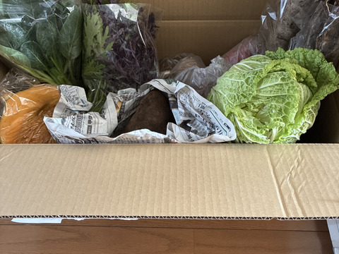 【福袋】今年一年の感謝を込めた冬の高原野菜セット