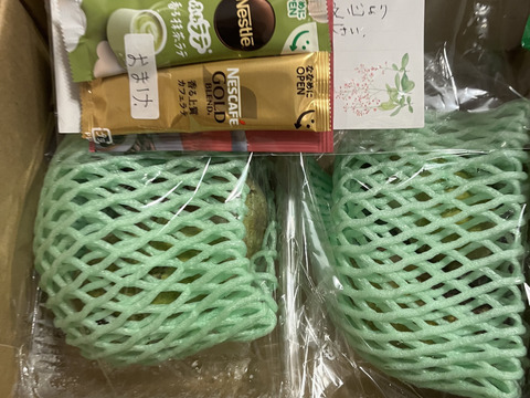 幻の果実✨ポポー❗️約750g【2〜6個】最高の美肌食材❗️