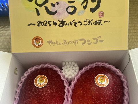 【数量限定】芳醇な香り沖縄完熟マンゴーご家庭用・1kg