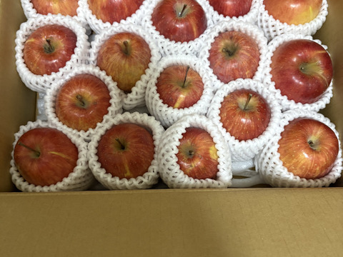 「スリムレッド」更にお値下げ❕！　訳あり2.4キロ　ご家庭専用 ご好評販売中　ジューシーなかわいいりんご