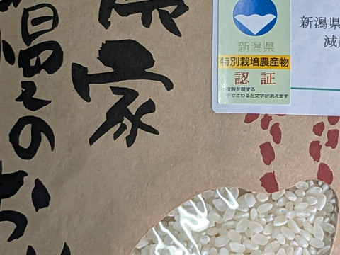 【令和5産】新潟しただ産コシヒカリ（精米10kg）＃特別栽培米（詳細は本文）